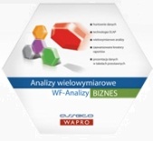 WF-Analizy Biznes