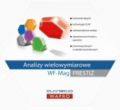 WF-analizy wdrożenia, aktualizacje, serwis warszawa